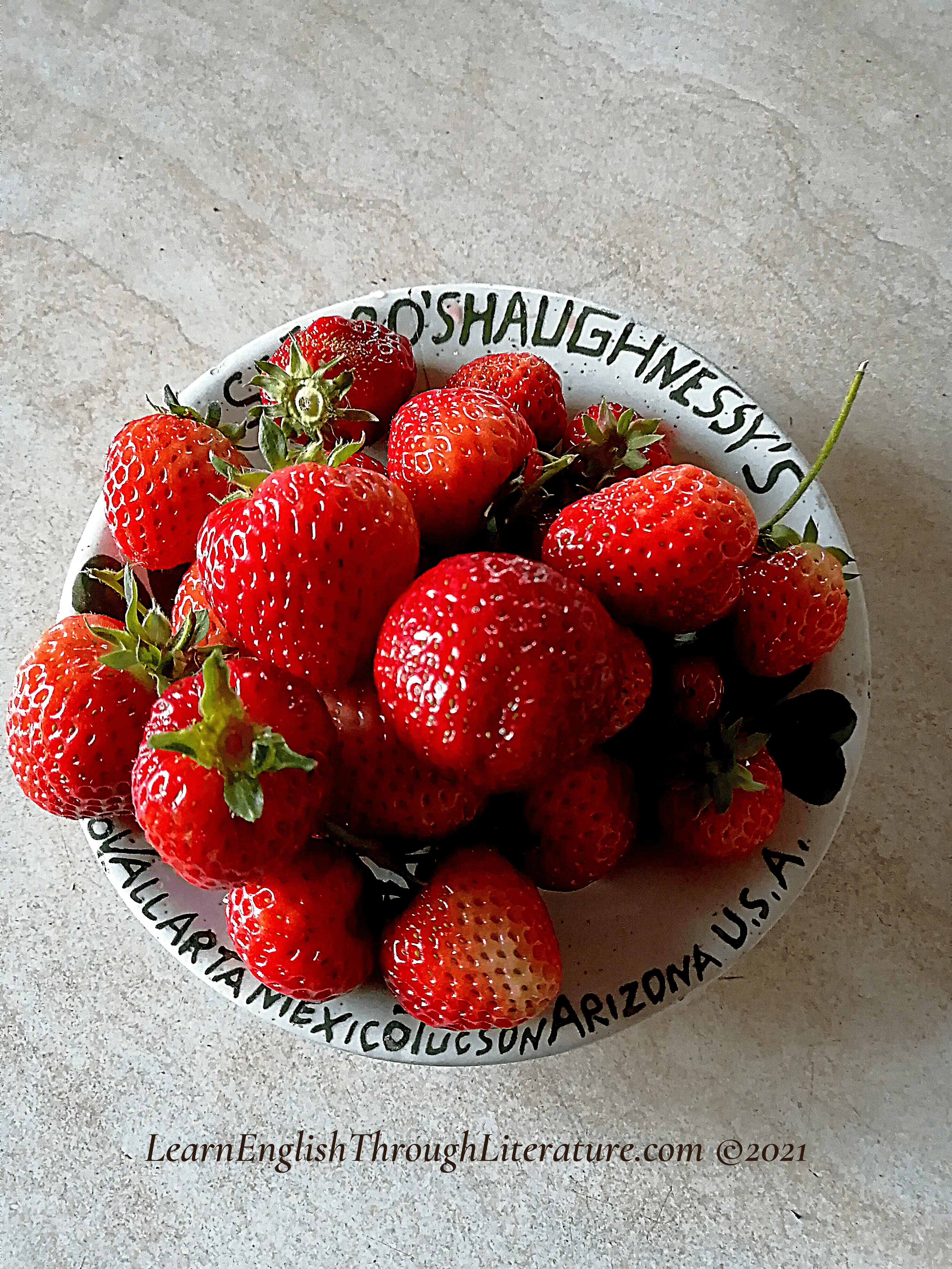 LearnEnglishThroughLiterature.com ©2021 Lesson #243 Five Observations ...